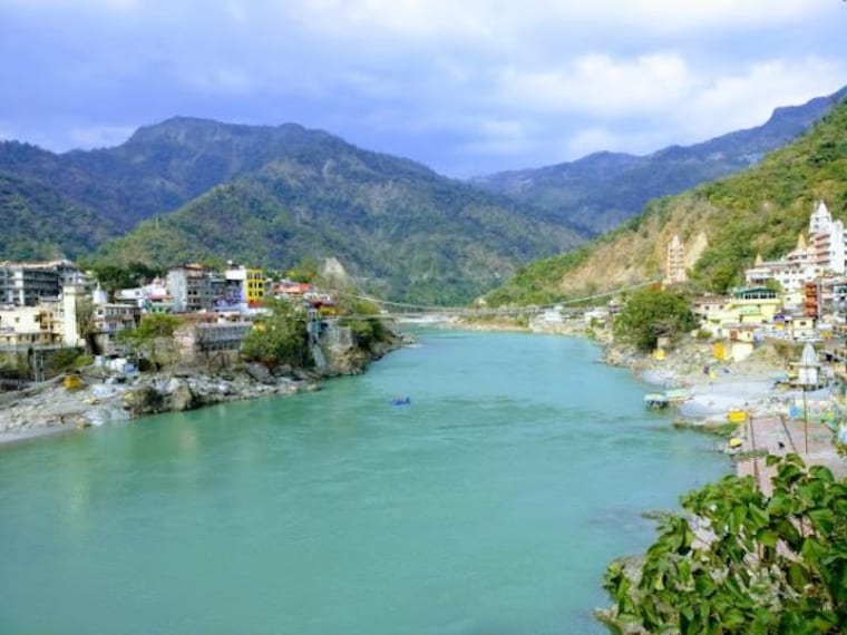 Little Buddha Cafe-2